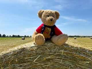 A teddy bear resting on a straw bale.