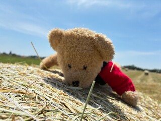 A teddy bear resting on a straw bale.