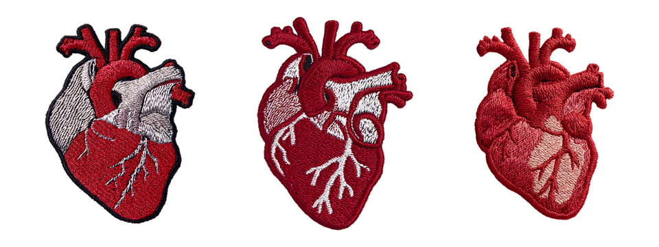 Set of Embroidered patch of anatomical heart isolated on transparent background, in PNG format, cut out - Powered by Adobe