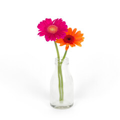 A glass bottle holds two vibrant flowers, enhancing decor and adding a touch of nature to any space.