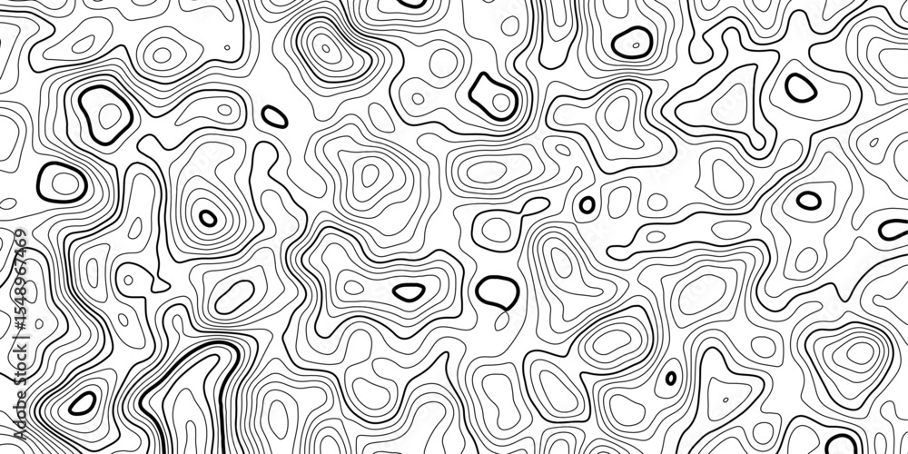 Poster black and white topographic map art with abstract contour lines and flowing structure.