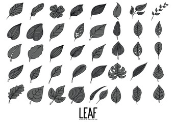 Leaf Doodle vector icon set. Drawing sketch illustration hand drawn line eps10