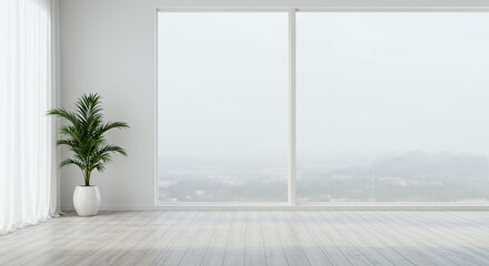 Minimalist White Room with Large Window and Single Plant