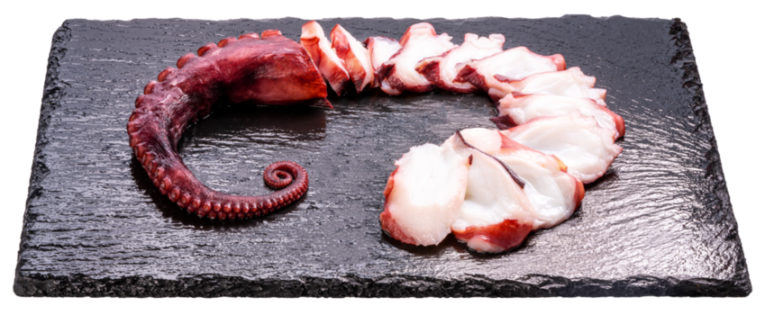 Closeup,Raw Tentacles of octopus on black plate on white background, kraken tentacles with suckers isolate on white with clipping path PNG File.