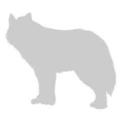 fox wolf Icon shadow
