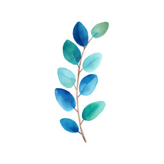 Obraz premium Eucalyptus stem with soft blue green foliage in watercolor style on transparent background