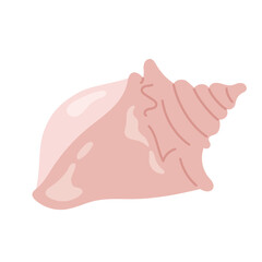 Sea shell. Hand drawn underwater elements. Illustration for summer, ocean design, beach decor, kids projects. 