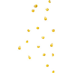 A collection of yellow corn kernels scattered against a white background.