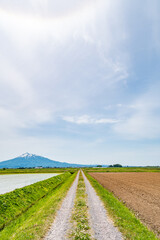 春の農道と岩木山