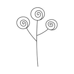 Hand drawn floral design. Whimsical plant with round spiral flower heads. Simple botanical design element in linear doodle style. Vector 10 EPS.