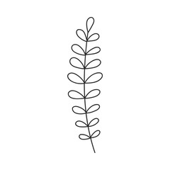Hand drawn floral design. Monochrome illustration of vertical leaf stem. Simple botanical design element in linear doodle style. Vector 10 EPS.