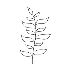 Hand drawn floral design. Curved botanical sprig with overlapping leaf pairs. Simple botanical design element in linear doodle style. Vector 10 EPS.