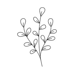 Hand drawn floral design. Doodle monochrome illustration of branch with oval leaves. Simple botanical design element in linear doodle style. Vector 10 EPS.