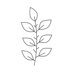 Hand drawn floral design. Stylized branch with evenly spaced paired leaves. Simple botanical design element in linear doodle style. Vector 10 EPS.