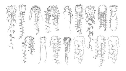 Various Hanging Plants Pot and Vines Line Art