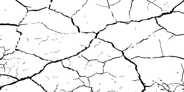 A high-contrast black and white texture of cracked earth or dry, parched ground. The image features irregular, jagged fissures and organic shapes, creating a fragmente.