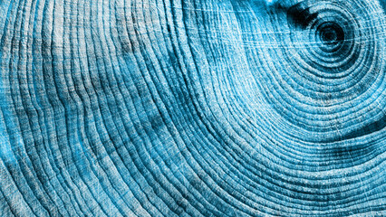 Abstract nature blue background with Timber wood from juniper tree rings as natural geometric...