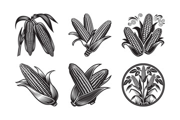   black silhouette of sweet corn bundle on the white background