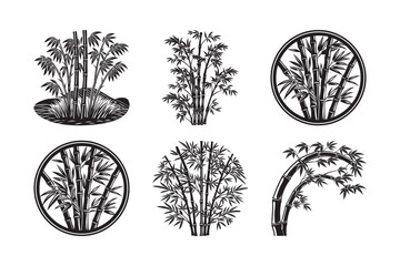 Fototapeta premium black silhouette of bamboo shoot bundle on the white background