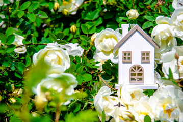 The symbol of the house among the branches of the white rose
