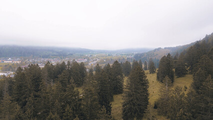 Scenic countryside with snow-covered Alps