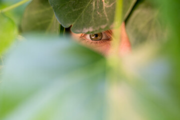 Female eye poking through the leaves
