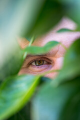 Man looking through the leaves