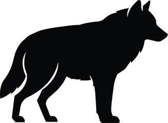 Black silhouette of a wild wolf illustration isolated on white