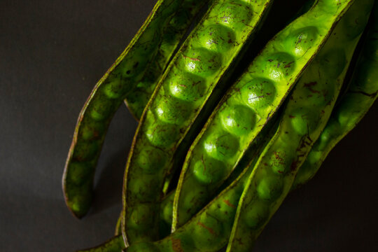 Petai, Twisted cluster bean, Stink bean, Bitter Bean, Parkia speciosa seeds, isolated on black background