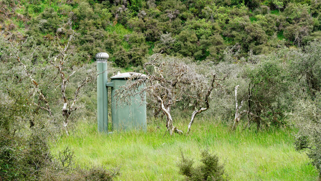 A backcountry toilet or outhouse surrounded by Matagouri trees, Lewis Pass Scenic Reserve, New Zealand