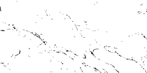 Minimal black and white marble texture with fine, scattered veins and abstract organic patterns. Ideal for modern backgrounds, luxury surfaces, or elegant artistic designs.