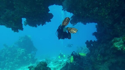 Follows divers swimming one after another under coral arch on blue water background, Back view, Slow motion of group of scuba divers swim in a large coral tunnel - Powered by Adobe