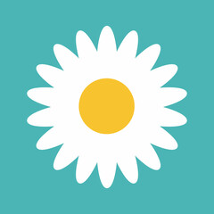 Flower icon. Retro spring summer white flower icon design. Camomile icon set. Cute round flower plant collection isolated on white background.