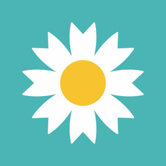 Flower icon. Retro spring summer white flower icon design. Camomile icon set. Cute round flower plant collection isolated on white background.
