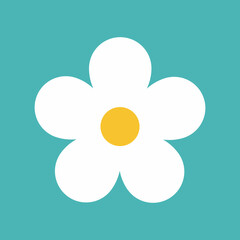 Flower icon. Retro spring summer white flower icon design. Camomile icon set. Cute round flower plant collection isolated on white background.