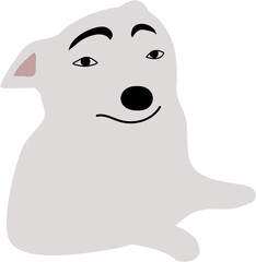 chihuahua with eyebrows meme