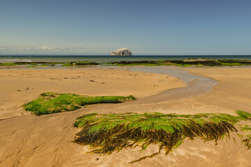 Seacliff Bay in East Lothian showing water winding through seaweed into the North Sea in Scotland.
