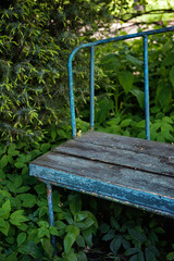 Vintage weathered bench with chipped paint sits in quiet shade