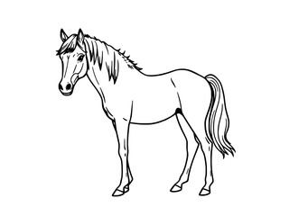 Line drawing of a standing horse with a flowing mane and tail, showcasing its slender build and gentle expression.