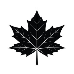 maple leaf black isolated icon silhouette vector art illustration on white background