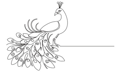 Fototapeta premium continuous one line drawing of a peacock. beautiful peacock