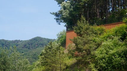 A bold orange wall stands at the edge of the forest, contrasting beautifully with the soft greens...