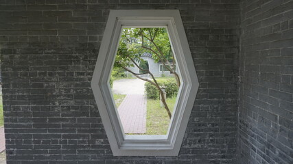A single tree leans into view through a hexagonal window, perfectly framed in a moment of natural...