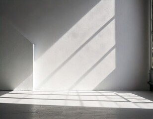 Fototapeta premium Minimal abstract light gray background for product presentation. Soft shadow and light from 