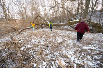 Exploring a snowy landscape with friends while balancing on a fallen tree in the woods during winter sunlight