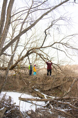 Exploring a wintery landscape, adventurers traverse a fallen tree, demonstrating teamwork and curiosity in a snowy, wooded area during a chilly afternoon