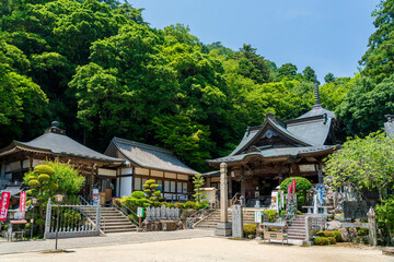 Fototapeta premium 新緑の大窪寺