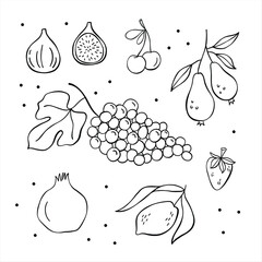 Fruits and berries: pear, fig, cherries, grapes, strawberry, lemon, pomegranate. Food illustartion set. Hand drawn vector illustration, balck and white minimalist drawing.