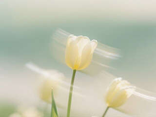 white flowers on a white background