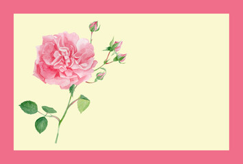 水彩絵の具で描いたピンク色の薔薇の花イラストレーションのメッセージカード